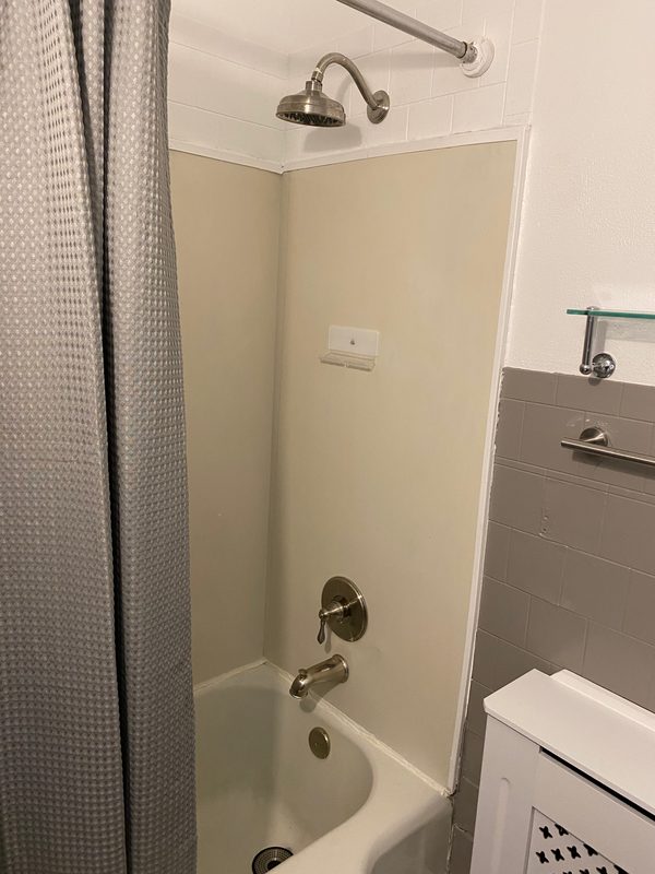 Tub with a shower